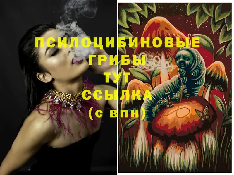 Галлюциногенные грибы Magic Shrooms  Железноводск 